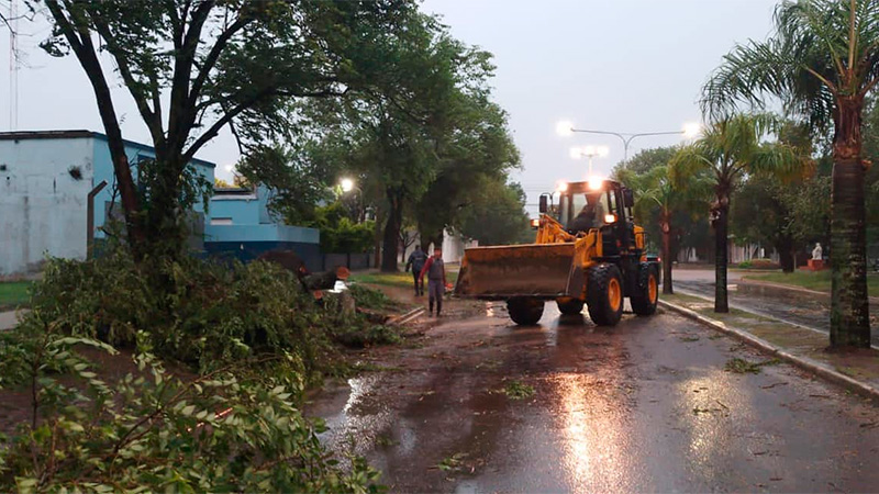 Imágenes: ráfagas de viento de 70 km/h dejaron severos daños en Basavilbaso
