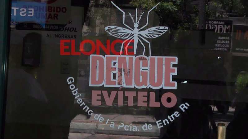 Vacuna contra el dengue: quiénes se la pueden aplicar y cuánto dura la inmunidad