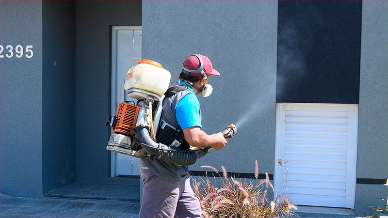 Confirmaron cuál es la zona de mayor contagio de dengue en Paraná