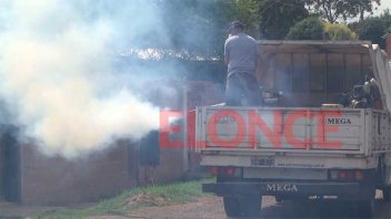 En qué calles se registraron los últimos casos de dengue en Paraná