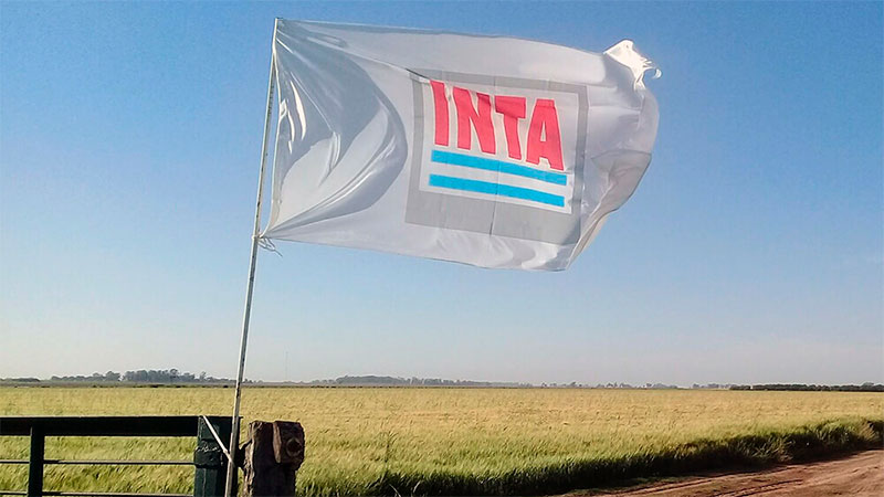 Rotulo Inase Designan autoridades en INTA, Inase e Instituto Nacional de ...