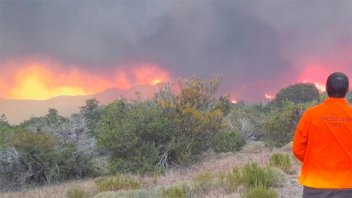 Consideran que el fuego en Parque Nacional Los Alerces “es más complejo”