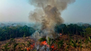 Registraron casi 3.000 incendios en la Amazonia brasileña