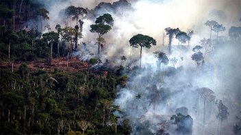 Registran casi 3.000 incendios en la Amazonia brasileña