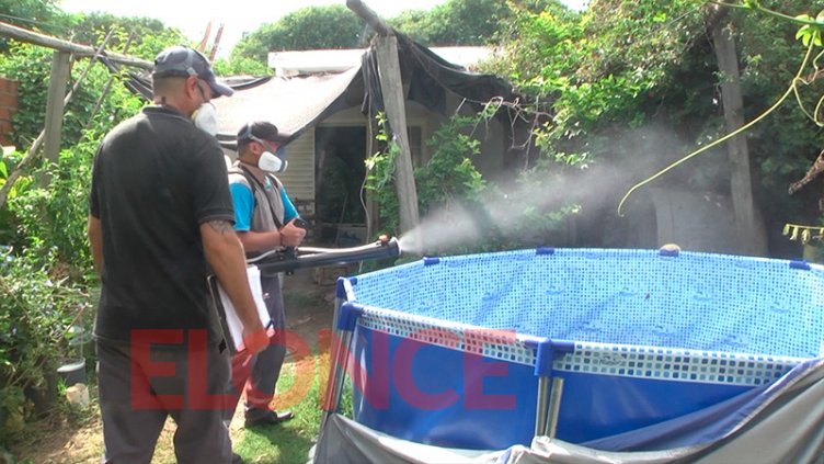 Confirmaron más de 700 nuevos casos de dengue en una semana en Entre Ríos