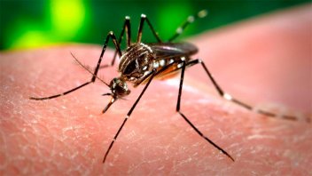 Se registró una muerte por dengue en la ciudad de Rosario