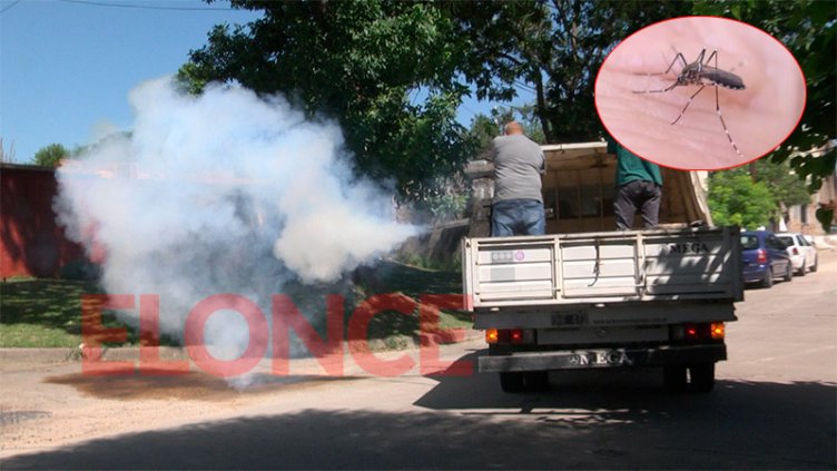 Disminuye la cantidad de casos de dengue en Entre Ríos