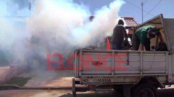 Proponen declarar la emergencia sanitaria por suba de casos de dengue en Paraná