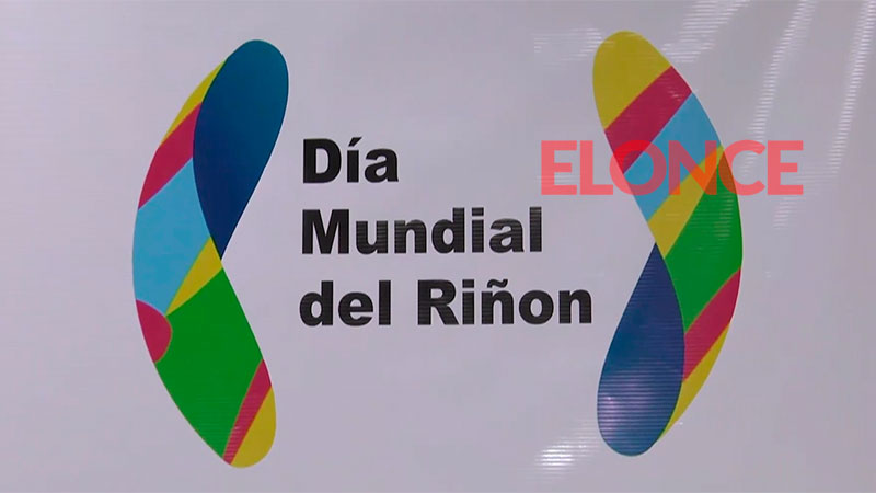 Día Mundial del Riñón: cómo cuidar la salud renal | Elonce.com