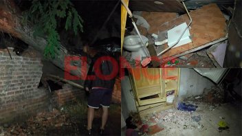 Árbol cayó sobre vivienda en Paraná y provocó importantes destrozos