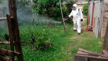 Dengue: se declaró la emergencia sanitaria y epidemiológica en Concordia