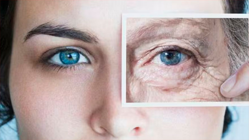 Los científicos buscan detectar los signos distintivos del envejecimiento”.
