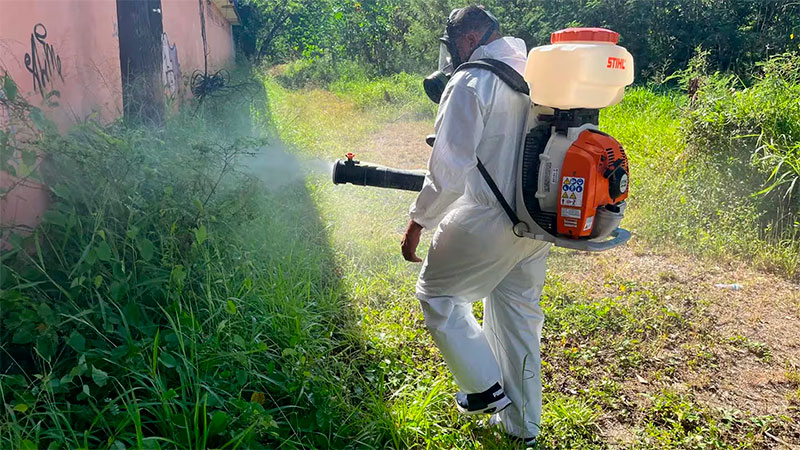 Alertan que el dengue podría volverse endémico: cuándo bajarán los contagios