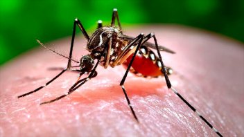La semana será más fría: piden mantener las medidas preventivas contra el dengue