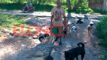 Murió el hombre que cuidaba 35 perros: solicitan alimento para los animales