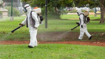 Durante la última semana se registraron 359 casos de dengue en Entre Ríos