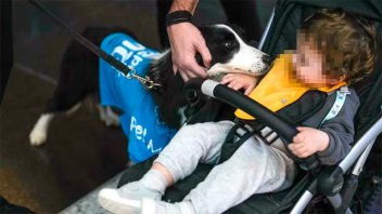En el aeropuerto de Estambul usan perros para pasajeros con ansiedad