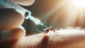 Cuándo recomiendan aplicar la vacuna del dengue a quienes tuvieron la enfermedad