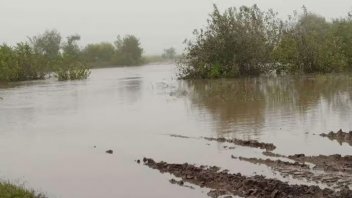 Copiosas lluvias desbordaron arroyos y cortaron rutas en Nogoyá