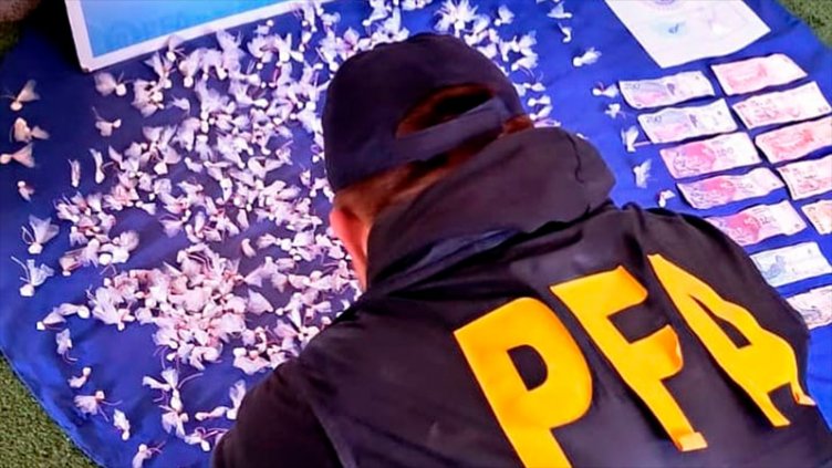 La Policía Federal secuestró cocaína y detuvo a cuatro personas en Paraná