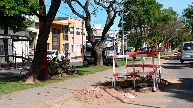 Camioneta chocó un árbol tras subir a cantero central en avenida de Gualeguaychú