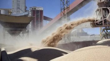 Exportaciones del agro: proyección del año cayó por debajo de U$S30.000 millones