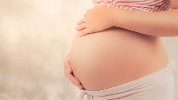 Anses otorgará asignación a mujer que dará a luz por subrogación de vientre