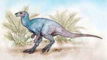 Hallaron a un dinosaurio que vivió hace 90 millones de años