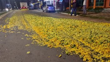 Un camión volcó gran cantidad de desechos de citrus en una avenida de Concordia