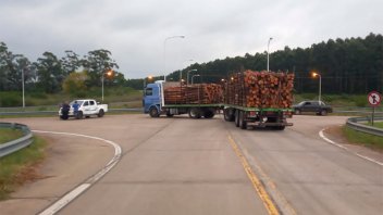 Camión cargado con troncos de madera chocó con camioneta