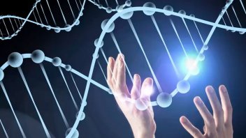Inteligencia Artificial desarrolló herramienta para modificar genética humana