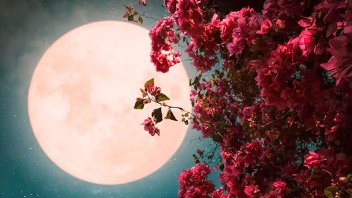 Se viene la “Luna de las Flores”: qué es este fenómeno y cuándo ocurrirá