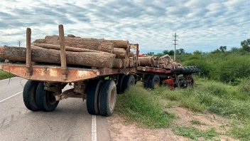 Transportaba troncos y murió aplastado por tractor: peones alcanzaron a saltar