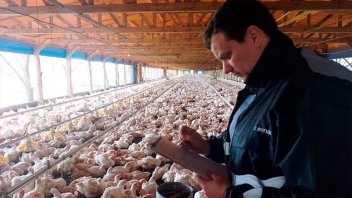 Senasa fiscalizó granjas avícolas del norte entrerriano con controles de sanidad