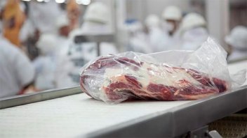 Argentina envió carne bovina certificada libre de deforestación a Europa