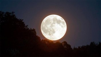 La Luna alcanza su apogeo este viernes: por qué ocurre y cómo se verá