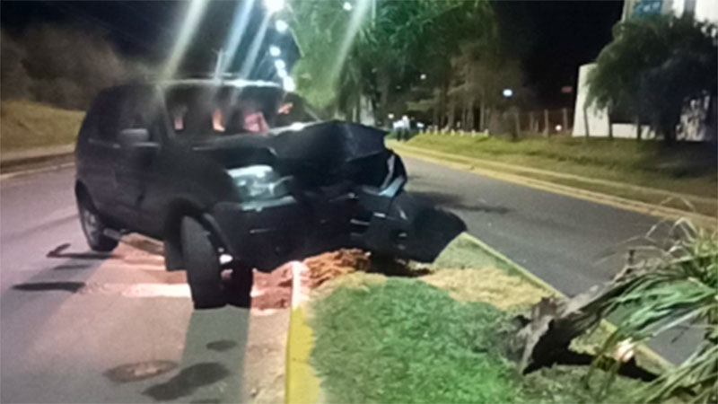 Conductor se durmió al volante y chocó su camioneta contra una palmera ...