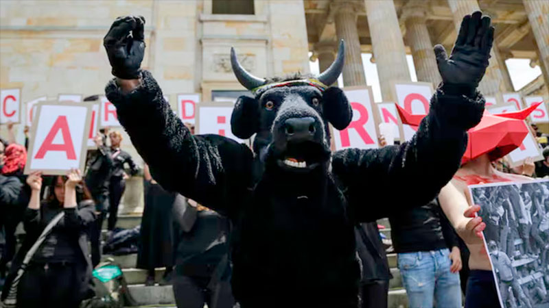 El Congreso de Colombia aprueba prohibir las corridas de toros a partir ...