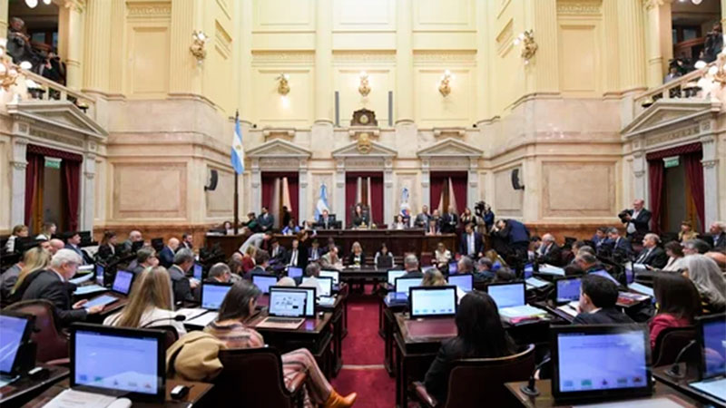 Ley Bases y paquete fiscal: con cambios sustanciales se debate en el Senado