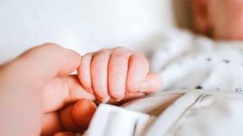 Se necesitaron más de $329.000 en junio para la crianza de un bebé