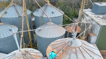 Hallaron 700 plantas de silos sin declarar en provincia de Buenos Aires
