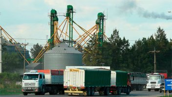 Se acelera la cosecha de maíz y el ingreso de camiones a los puertos se duplicó