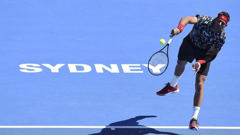 Del Potro y un sólido partido ante Fognini.