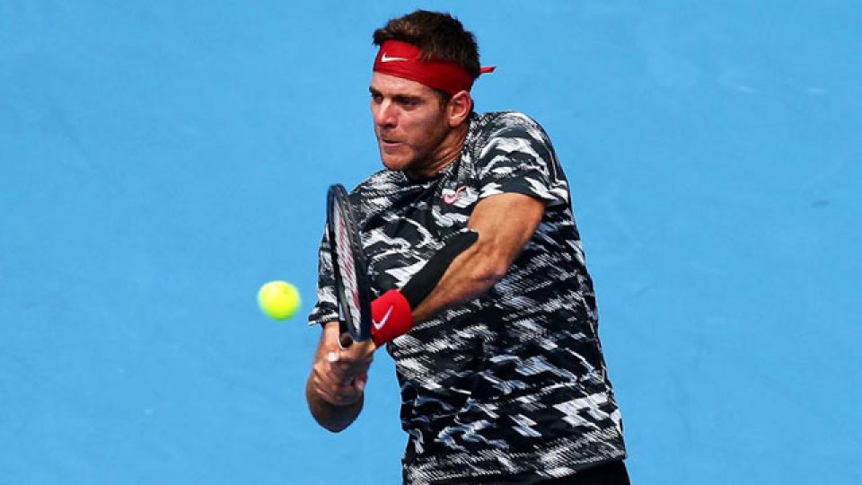 Del Potro y un sólido partido ante Fognini.