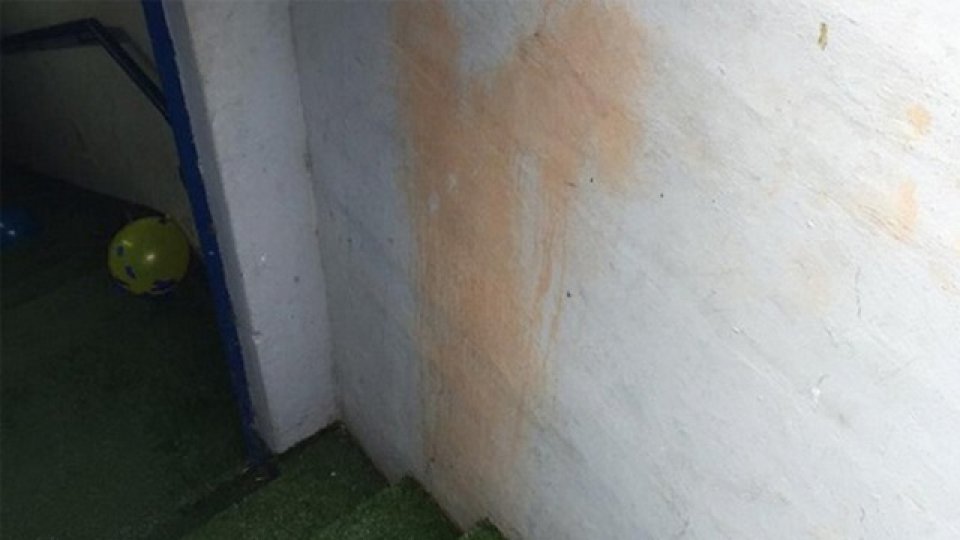 El mostacero incluye aj&iacute; picante, pimienta cayena y un &aacute;cido que lo fermenta.