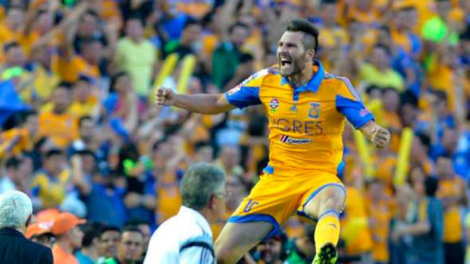 Tigres, finalista de la Copa Libertadores.