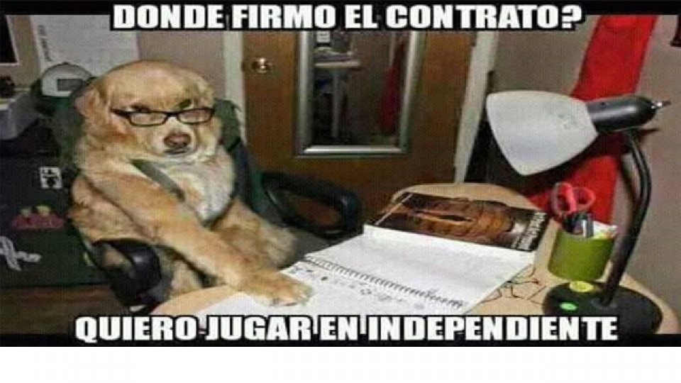 os afiches de Racing gastando a Independiente luego de la victoria en La Feliz.