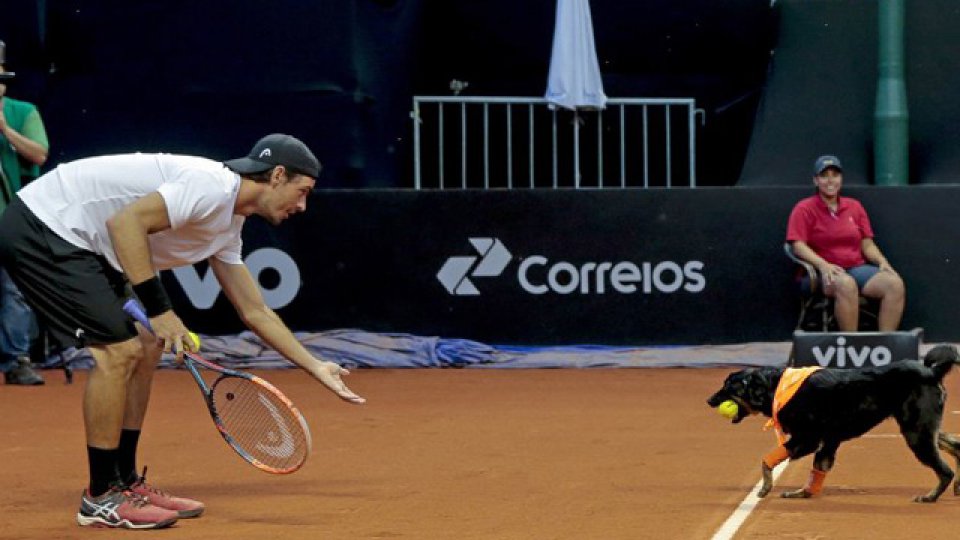 El tenista portugués Gastao Elías esperando que el perro le alcanze la pelota.