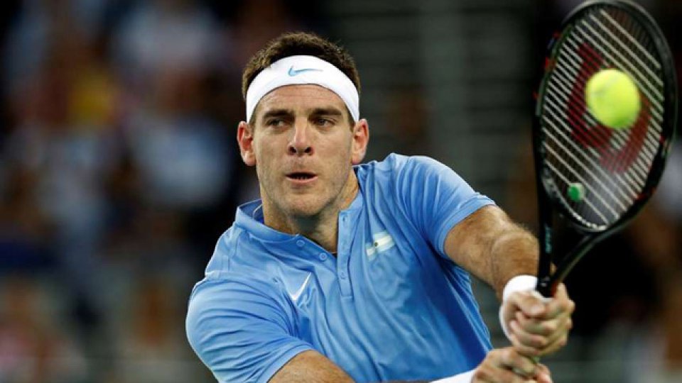 Del Potro venció a Karlovic y la final de la Davis esta 1 a 1.