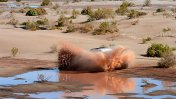 Rally Dakar: La novena etapa fue cancelada por las crecidas de los ríos